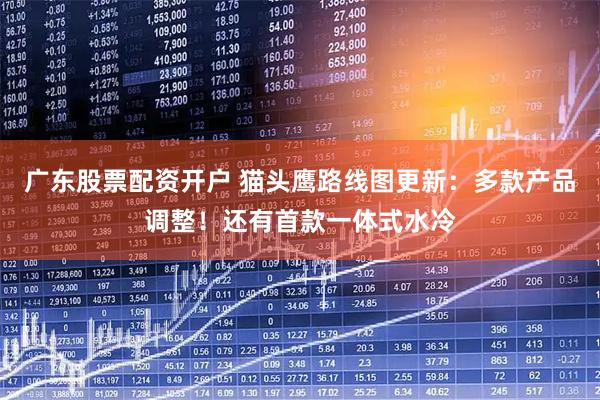 广东股票配资开户 猫头鹰路线图更新：多款产品调整！还有首款一体式水冷