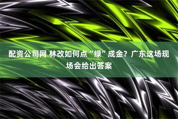 配资公司网 林改如何点“绿”成金？广东这场现场会给出答案