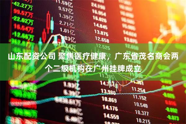 山东配资公司 聚焦医疗健康，广东省茂名商会两个二级机构在广州挂牌成立