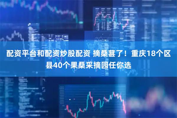 配资平台和配资炒股配资 摘桑葚了!重庆18个区县40个果桑采摘园任你选